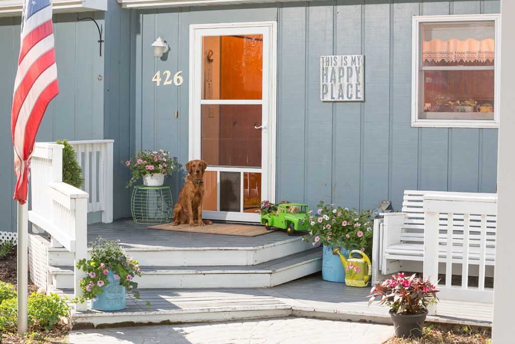 Diy home improvement projects for beginners foret house
